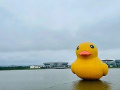 -琅岐红光湖公园