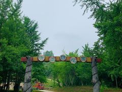 -千年银杏谷文化旅游区