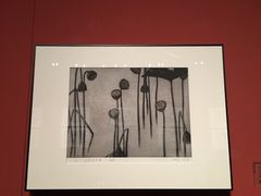 -江苏省美术馆(长江路新馆)