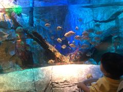 -沈阳海洋探索中心