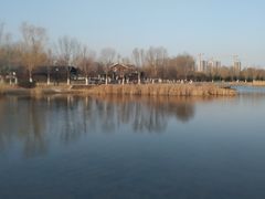 -永定河休闲森林公园