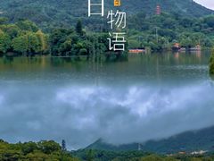 -深圳仙湖植物园