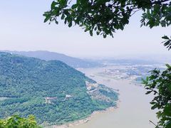 -铁山坪森林公园