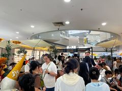 -野人先生Gelato(上海长宁龙之梦店)