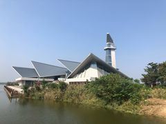 -盐城丹顶鹤湿地生态旅游区
