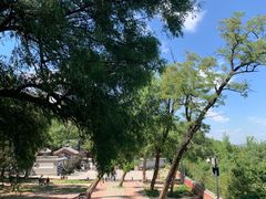 -阳台山自然风景区