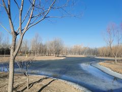 -东郊湿地公园