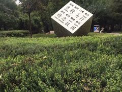 -木塔寺遗址生态公园