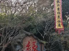 -杭州黄龙洞
