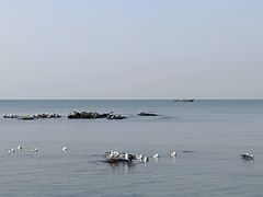 -傅家庄公园