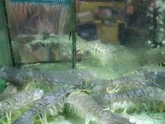 -真浪大家乐海鲜餐馆