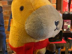 -星巴克(淄博新玛特店)