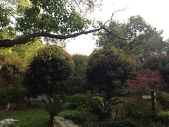 -瀛洲公园