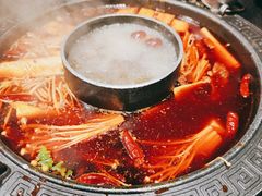 菌汤鸳鸯锅-晓宇重庆火锅(龙首店)