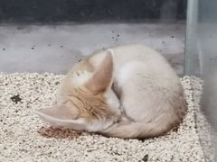-海合安武汉极地海洋公园