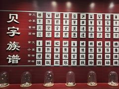 -青岛贝壳博物馆