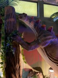 -恐龙探索乐园(磁器口店)