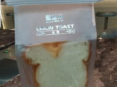 -TD66高山铁皮石斛养生茶饮