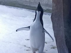 -上海海昌海洋公园