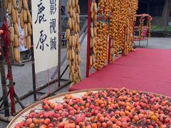 -白鹿原影视城