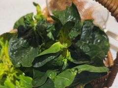 -千牛将·鲜牛肉火锅(开元路店)