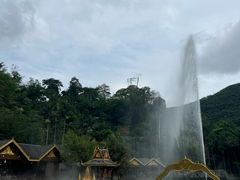 -西双版纳原始森林公园