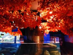 -成都浩海立方海洋公园