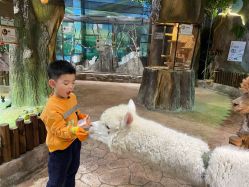 -宝燕乐园(闵行旗舰店)