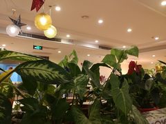 -三亚亚龙湾金棕榈度假酒店