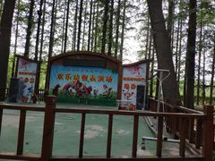 -日照海滨国家森林公园