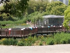 -苏州河梦清园环保主题公园