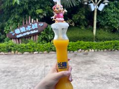 -珠海长隆海洋王国