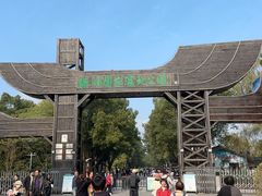 -溱湖国家湿地公园