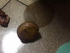 -鑫栗王(庙前街总店)
