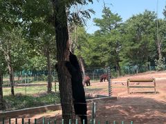 -秦皇岛野生动物园