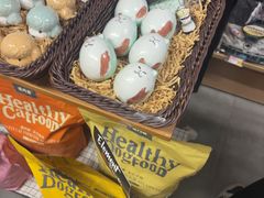 -爱派特动物医院·全科诊疗中心