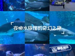 -海合安成都极地海洋公园