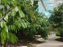 -歌斐颂巧克力小镇