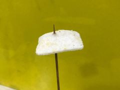 -鸡柳大人(宁大店)
