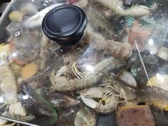 -鹏城人家海鲜酒家·23年老字号(较场尾店)