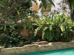 -亚马逊丛林水乐园