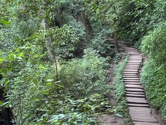-青城山