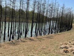 -苏州太湖国家湿地公园