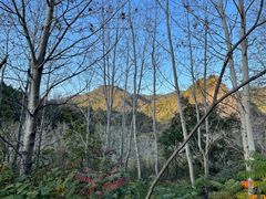 -玉渡山自然风景区