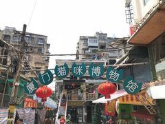 -猫咪博物馆(顶澳仔猫街店)