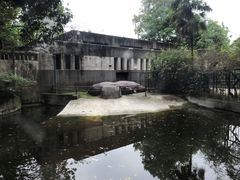 -成都动物园