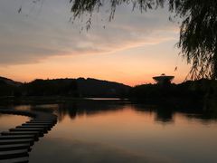 -佘山世茂艾美·御珍轩中餐厅