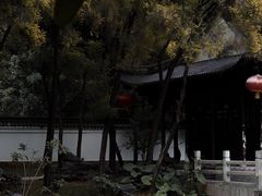 -深圳国际园林花卉博览园