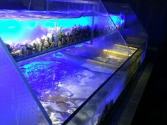 -星伦多自助料理·涮烤一体(嘉兴八佰伴店)