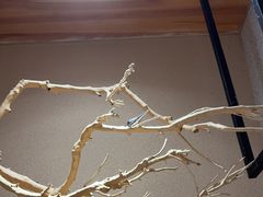 -鑫涛温泉汗蒸时代